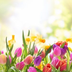 Meet your Posher, Dana